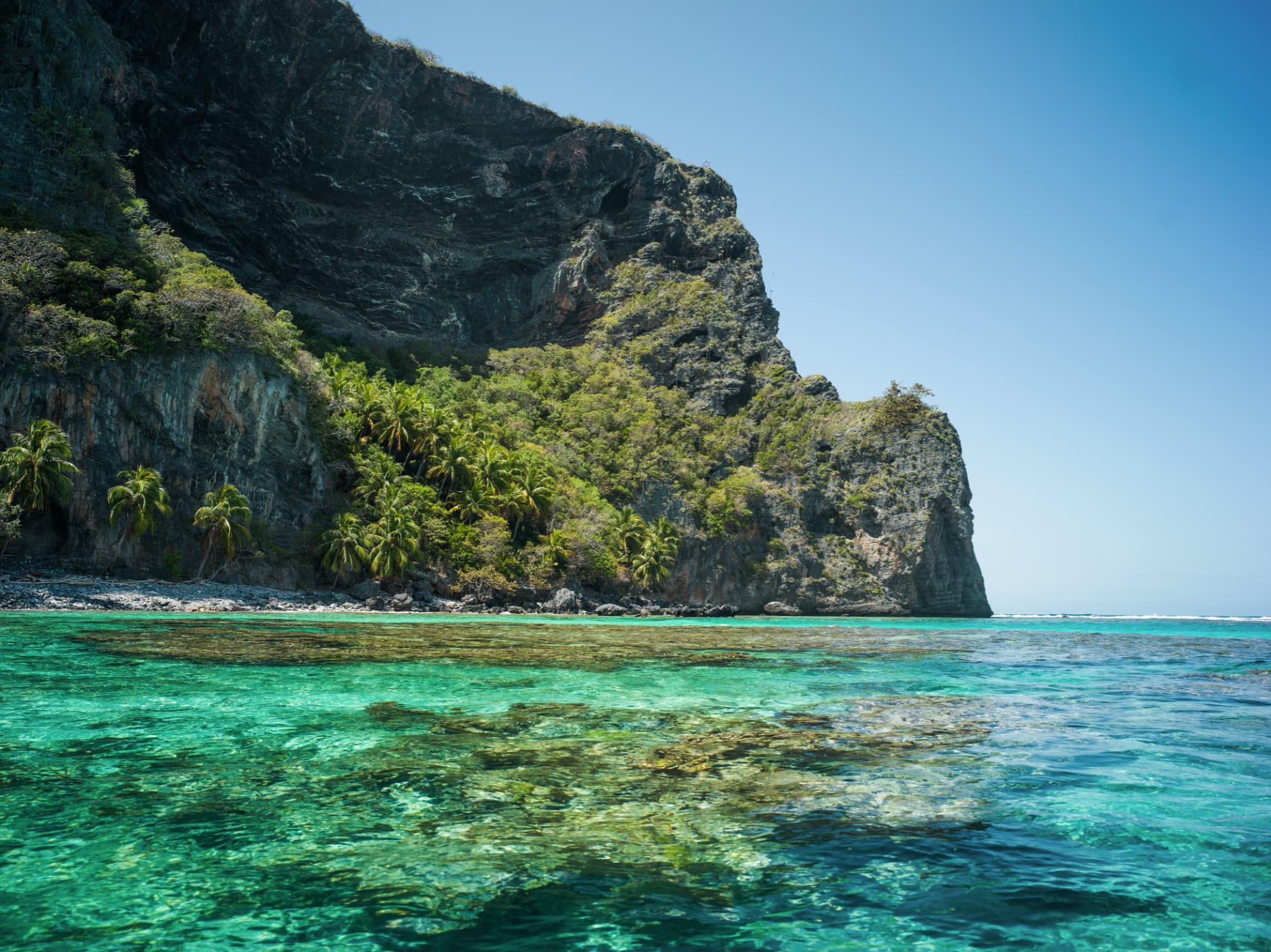 Samana