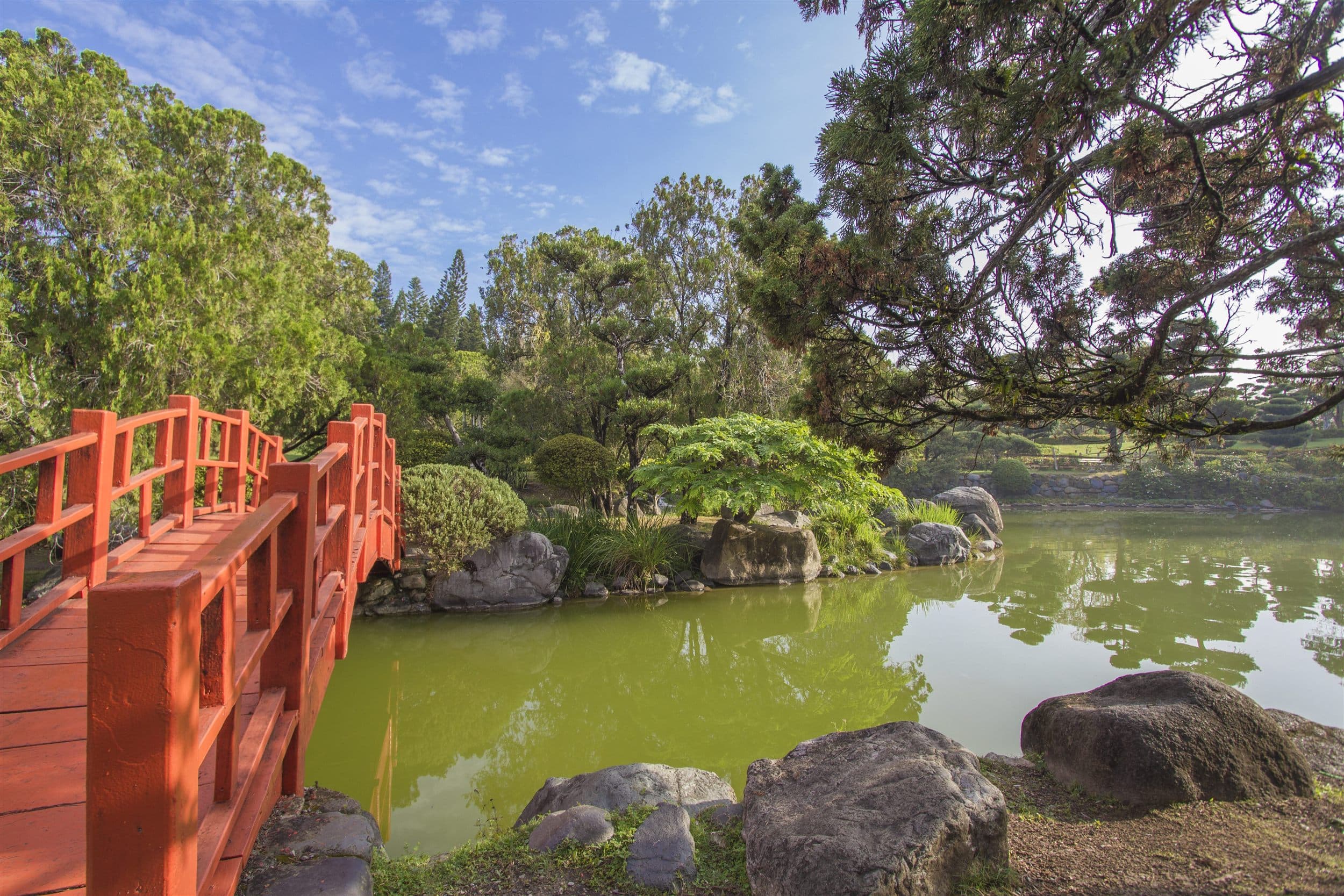 Jardín Botánico Nacional