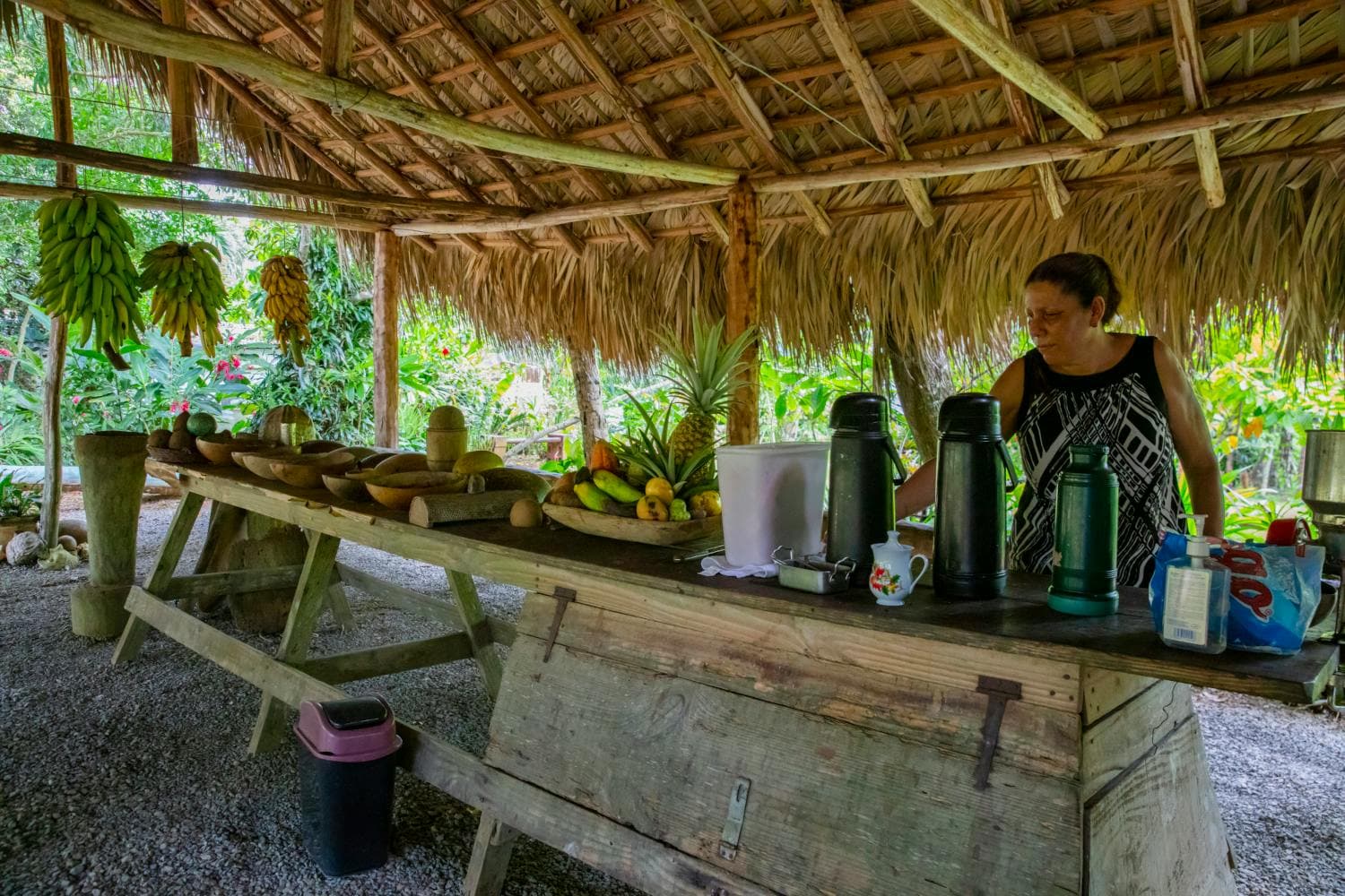 Casa Típica Conuco Doña Ana
