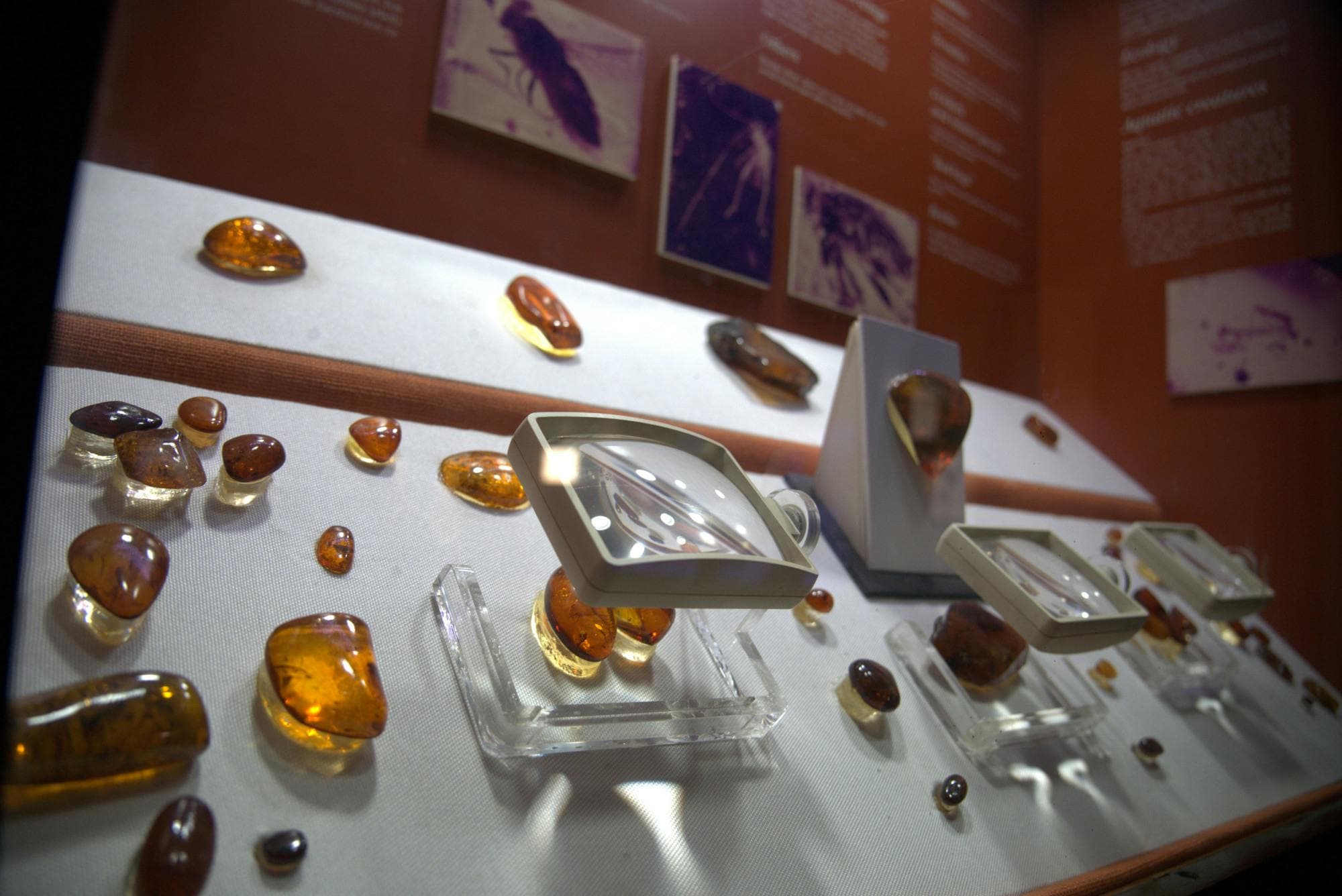Museo Mundo del Ámbar