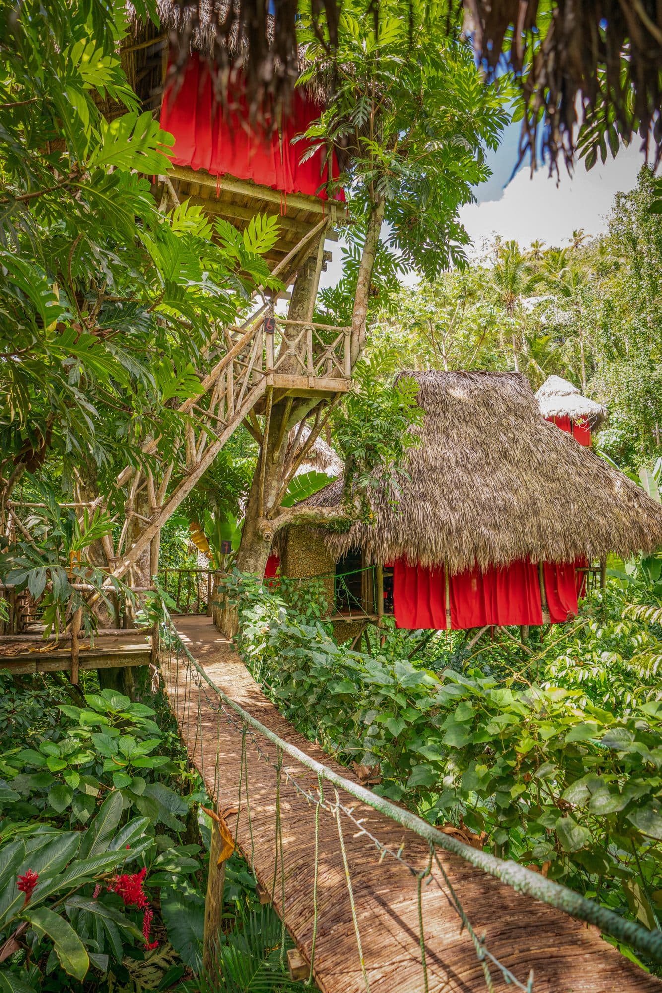 Dominican Tree House Village