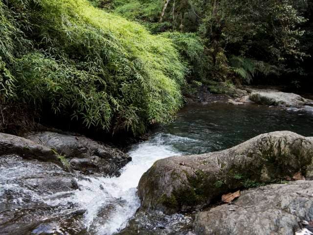Reserva Científica Ébano Verde