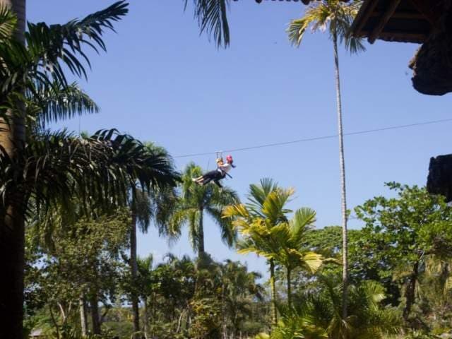 Ziplines en Caño Hondo