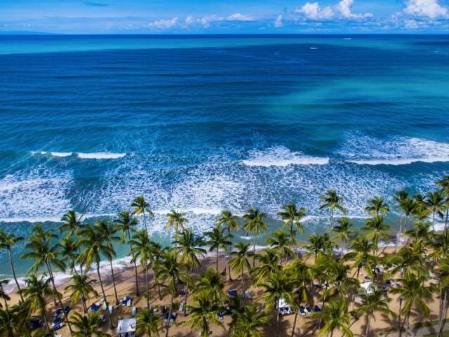 Viva Wyndham V Samana