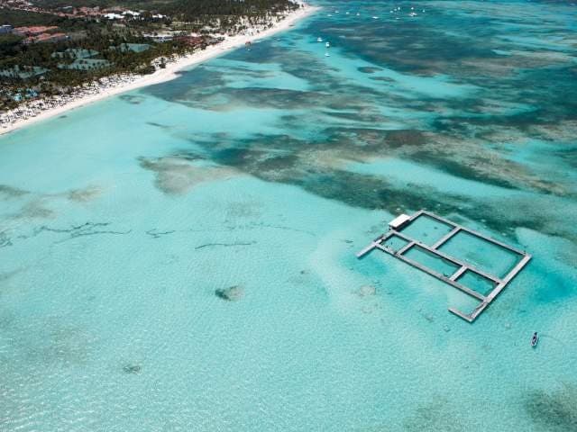 Dolphin Island Park
