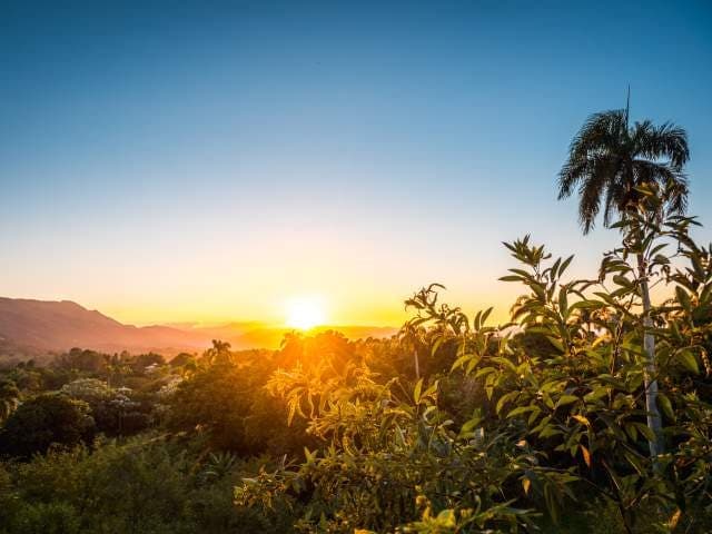 Parque Nacional José del Carmen Ramírez