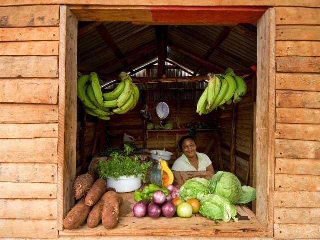 Gastronomía en Barahona
