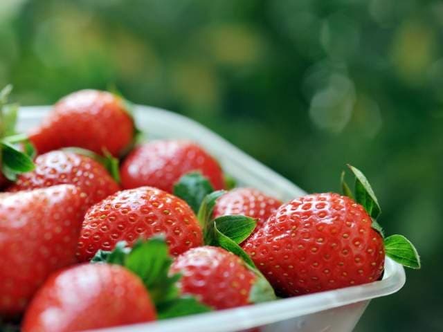 Gastronomía en Constanza