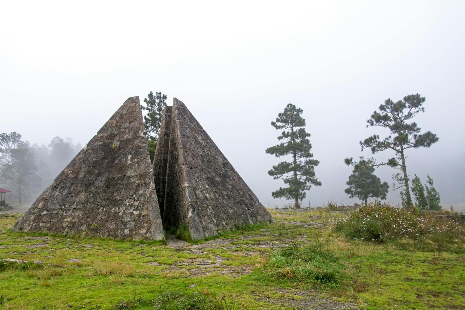 Parque Nacional Valle Nuevo