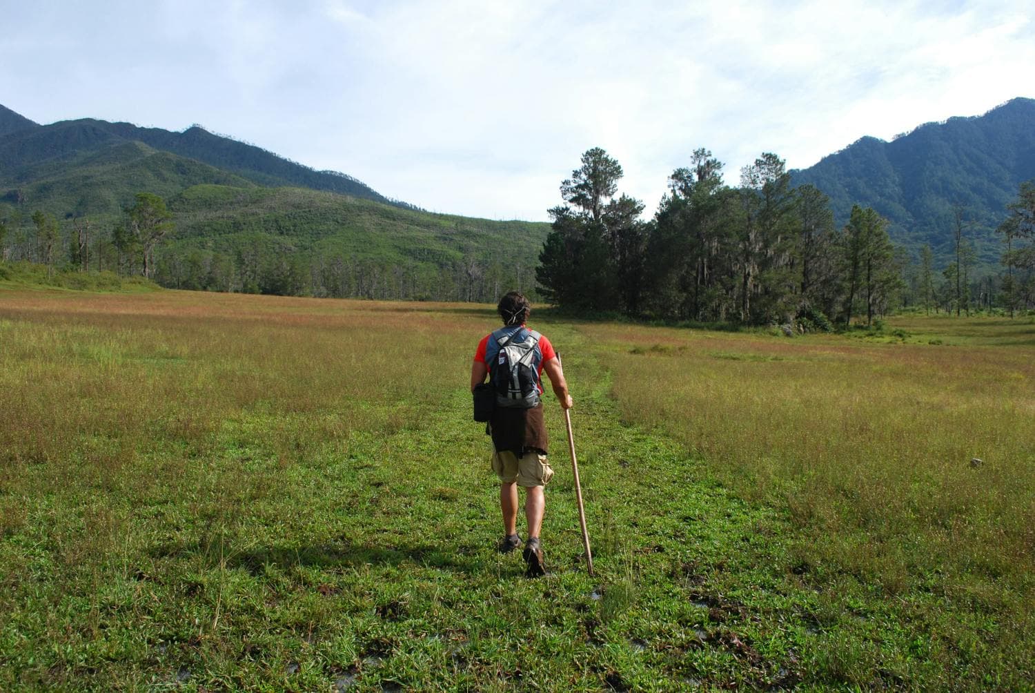 Valle del Tetero