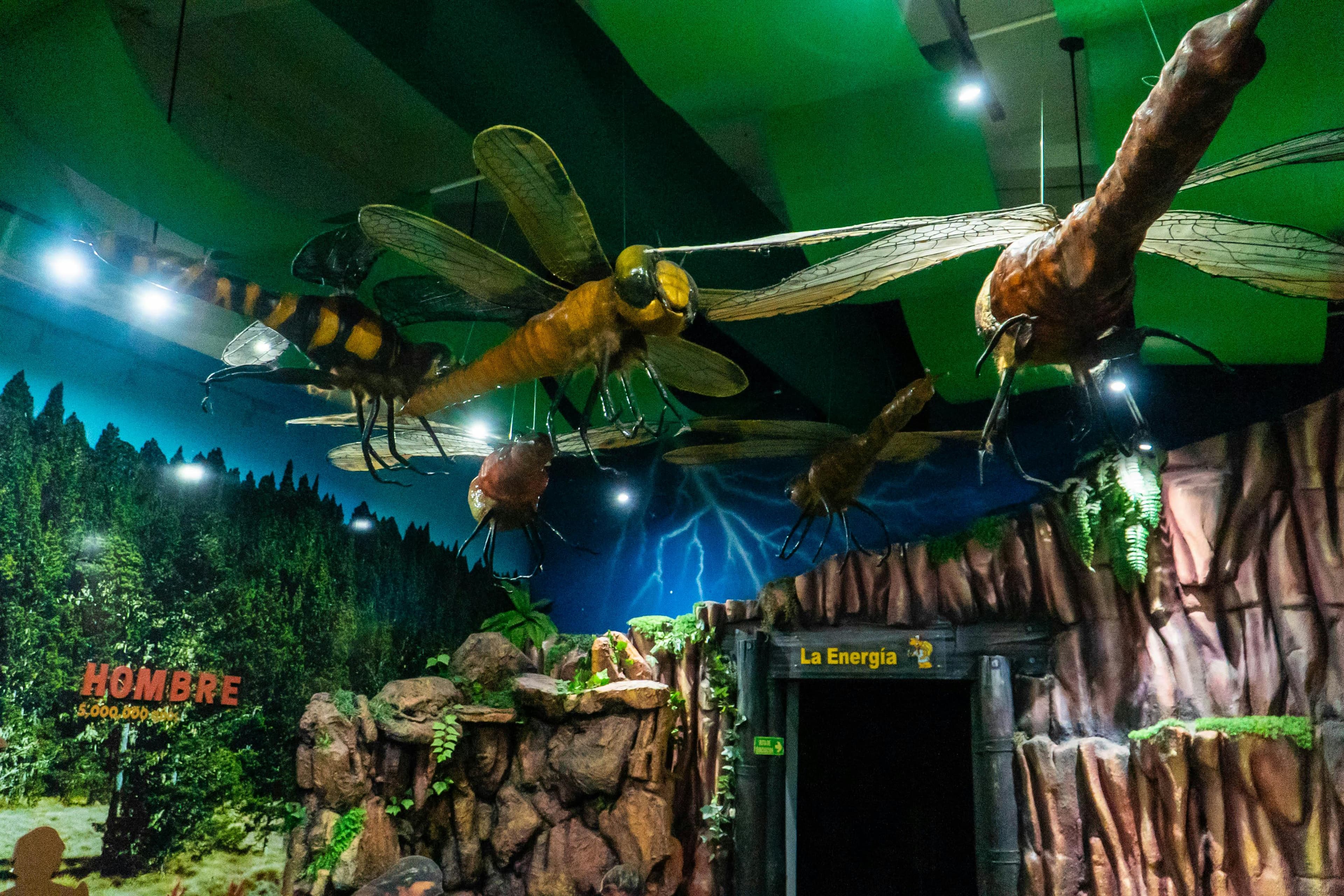 Museo Infantil Trampolín