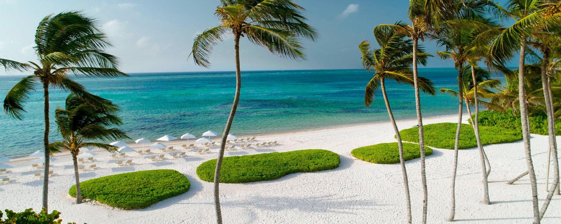 The Westin Puntacana Resort & Club