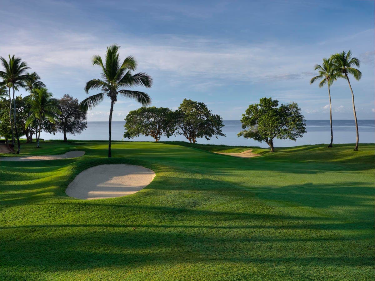 Casa de Campo – Teeth of the Dog